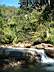 Doi Inthanon 016.jpg